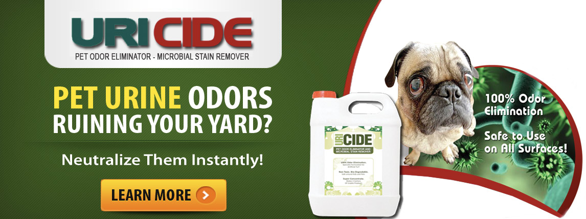 Completely Eliminate Pet Odors And Stains